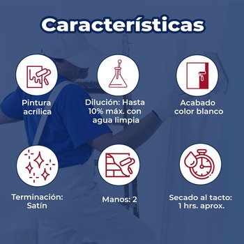 Pintura Vinil Acrílica Satinada Platinum Blanco 19 L