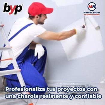 Charola Profesional para Pintura Byp 9 pulgadas