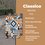 Piso Classico Multicolor Daltile 34 x 50 cm