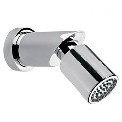 Regadera Chorro Fijo Brazo Chapetón Nuva Cromo