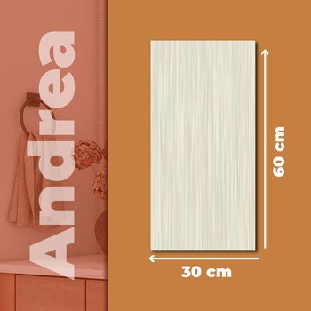 Muro Andrea Cesantoni 30 x 60 cm Rectificado