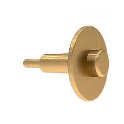 Asiento Helvex Perno Embolo Fluxómetro SF002