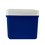 Hielera Cool 9 con asa Igloo 09 QT azul y blanco