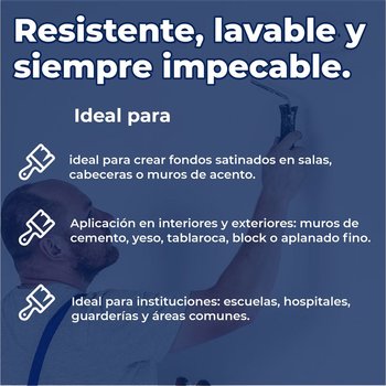 Pintura Vinil Acrílica Satinada Platinum Blanco 19 L