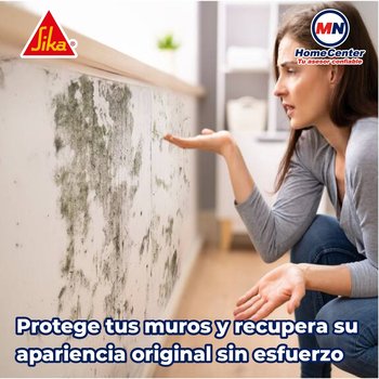 Impermeabilizante Sika Zero Salitre 5 Lt