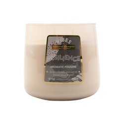 Vela aromática fougere amber 15oz