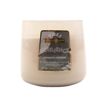 Vela aromática fougere amber 15oz