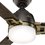 Ventilador Leoni 48 Bronce Noble 3 Aspas