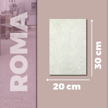 Azulejo Roma Gris Vitromex 20x30 cm
