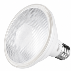 Foco LED PAR 30 12 W Luz Blanca IP65