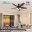Ventilador Builder Plus 52pulg Bronce Hunter