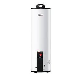 Calentador Depósito Calorex Maximus 72 L Gas LP 2 Servicios