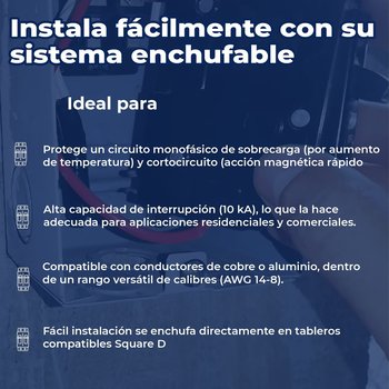 Pastilla 1 x 30 amperes Square D