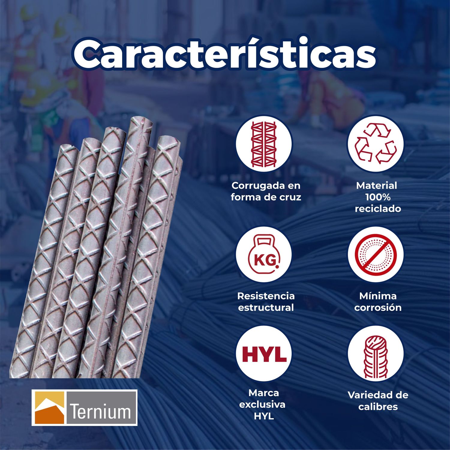 Varilla Recta Ternium #3 3/8x12 M AR-42