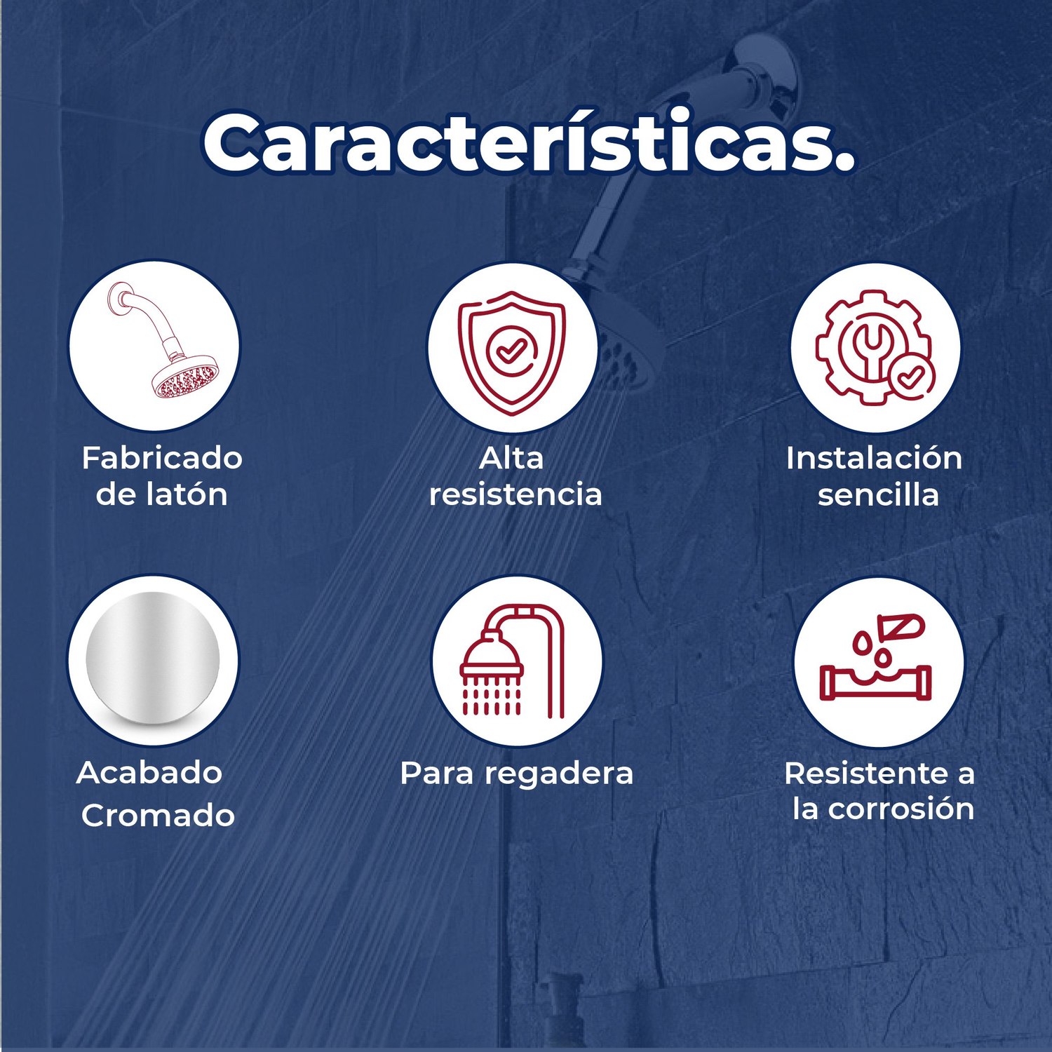 Regadera Helvex Chorro Fijo con Brazo y Chapetón H-201