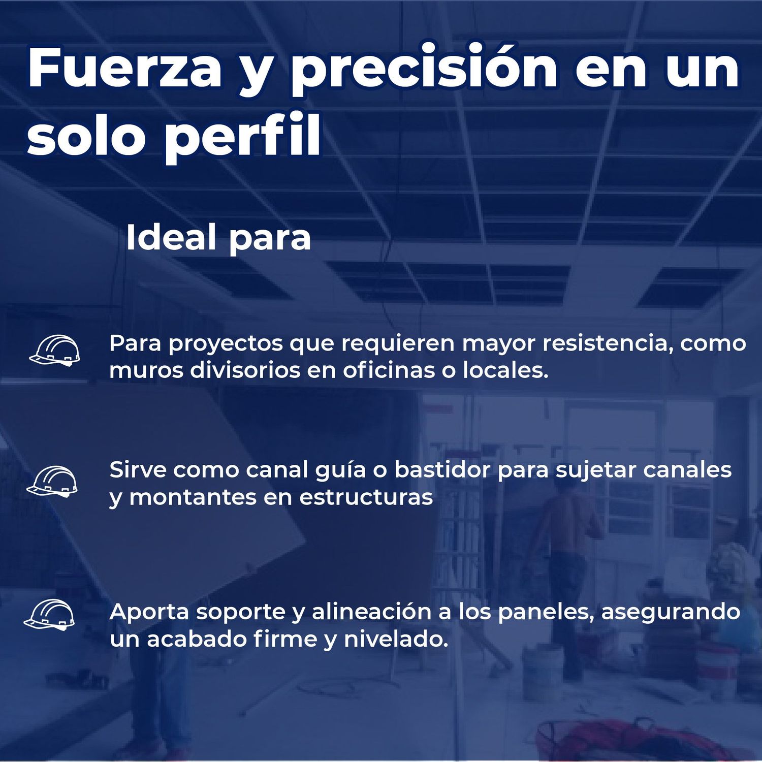 Canal Listón Panel Rey Calibre 20 6.82X3.96 M