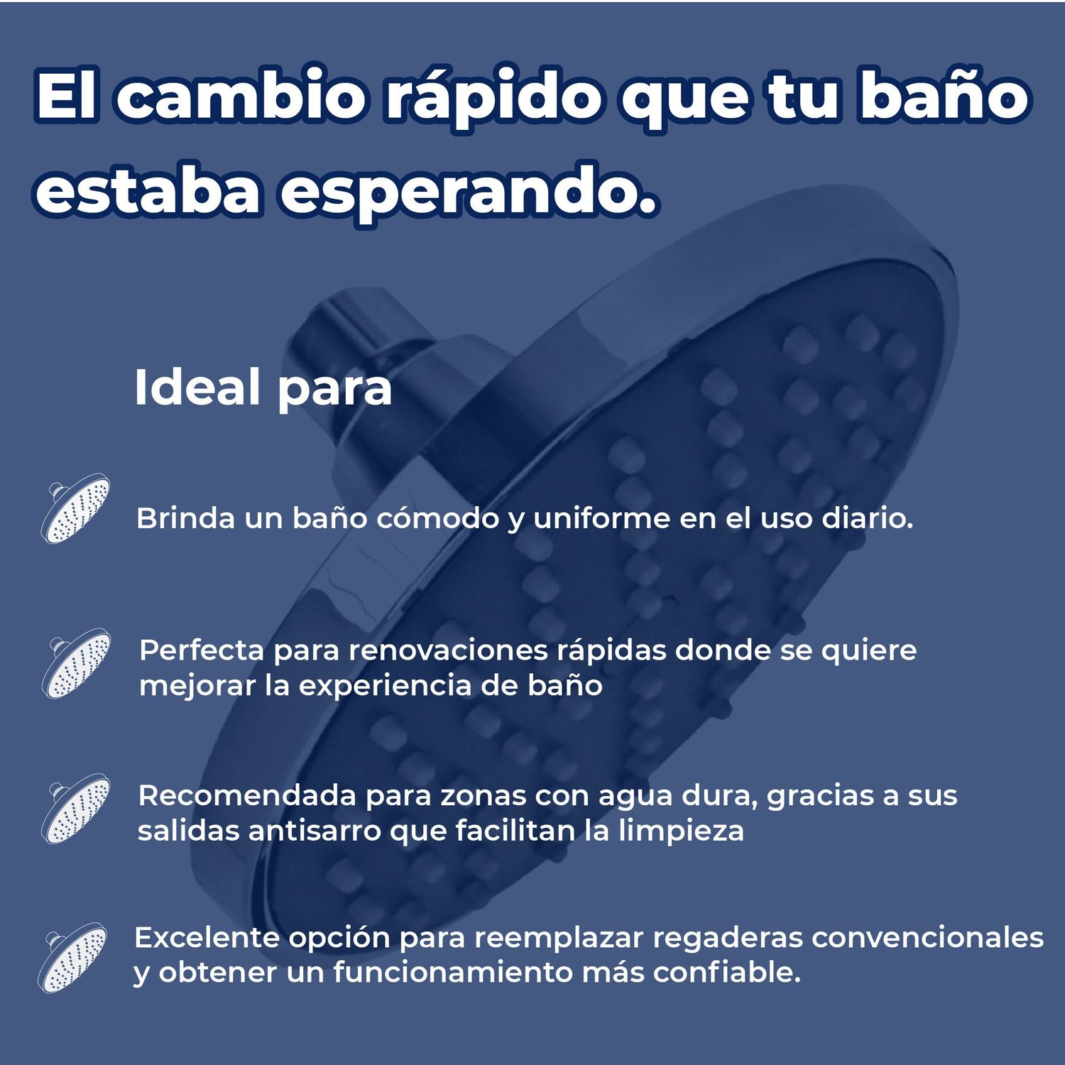 Regadera Redonda Sin Brazo Amsterdam 6" Antisarro Rugo Cromo