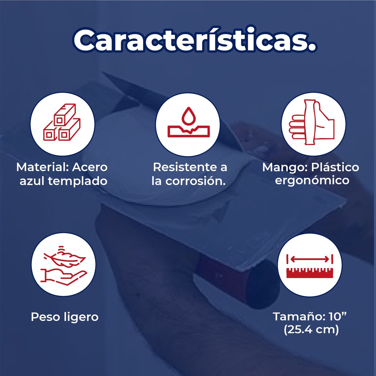 Espátula Mango Plástico Labeled 10 pulg Acero Azul Panel Rey