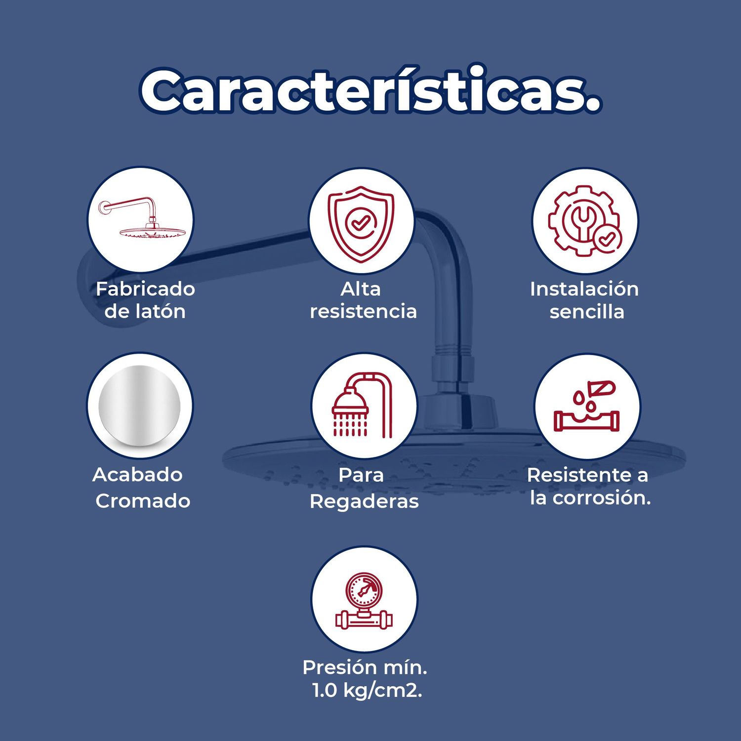 Regadera Redonda Multichorro 10 pulg Cromo Helvex H-3302