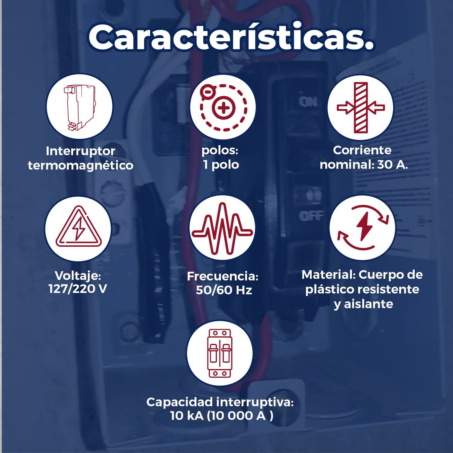 Pastilla Eléctrica siemens 1x30A para Protección de Circuitos