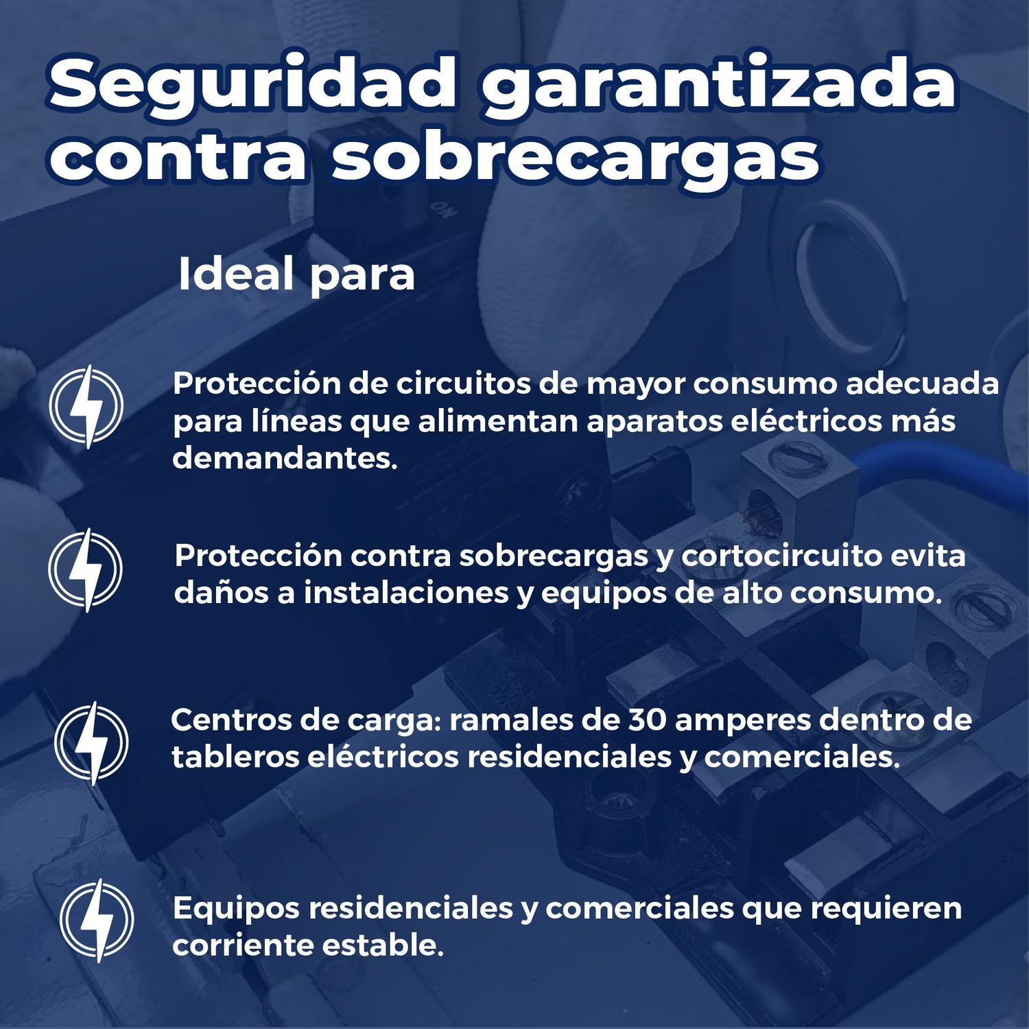 Pastilla Eléctrica siemens 1x30A para Protección de Circuitos