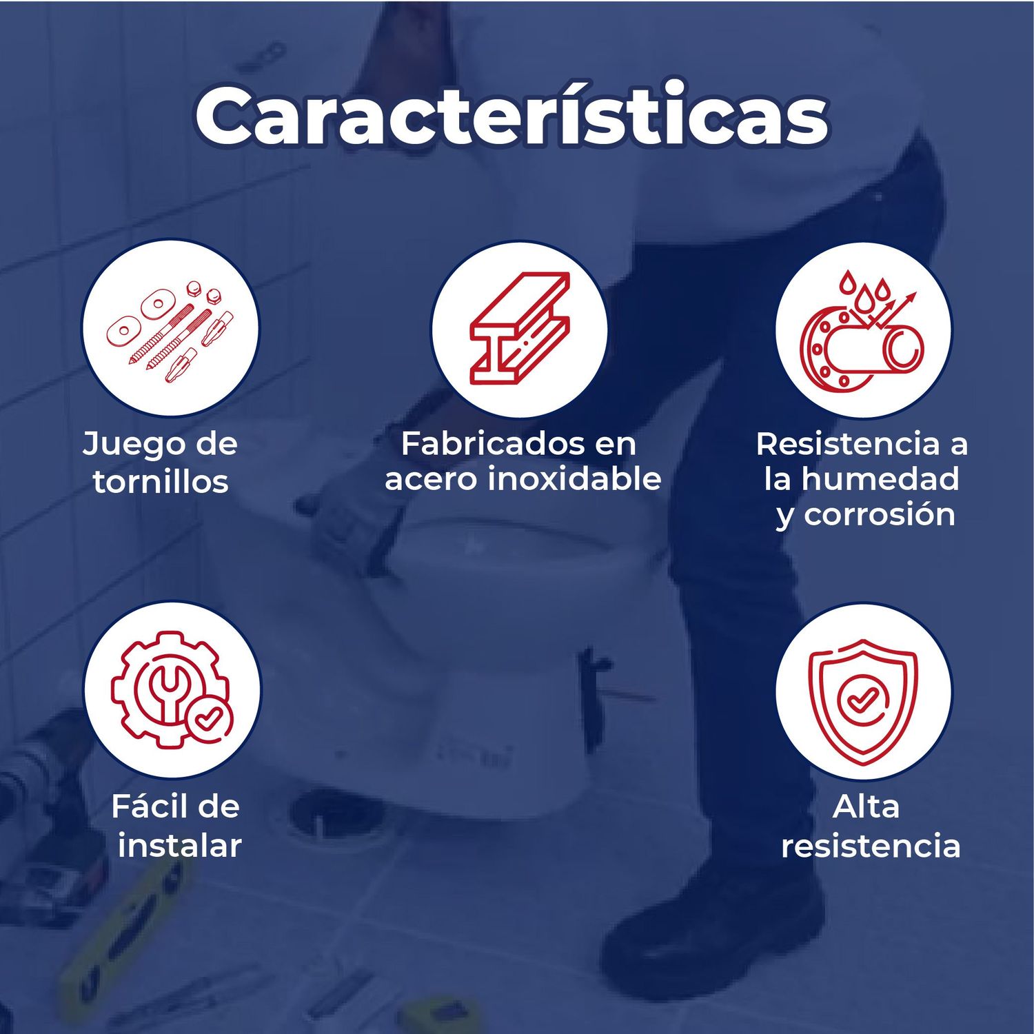 Juego de tornillos Pija para sanitario P/WC Acero Inoxidable 3"