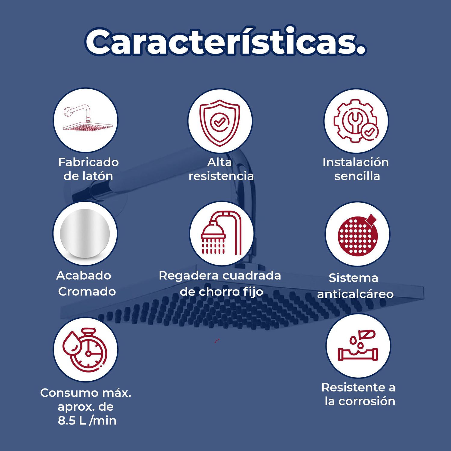 Regadera de Chorro Fijo Cuadrada Proyecta REC-02