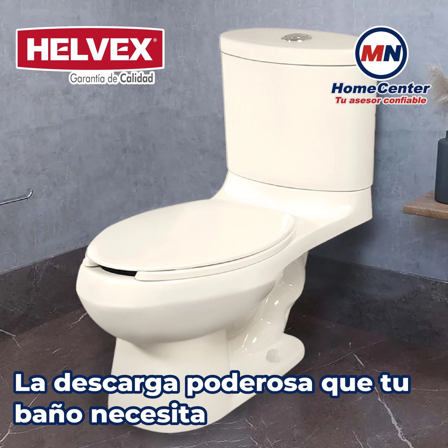 Sanitario WC Alargado Marfil 4.8 L Helvex Rodano 16