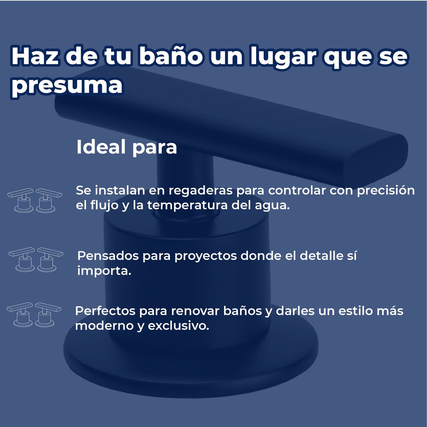 Juego de Manerales Para Regadera Premier Grandes Ébano Helvex