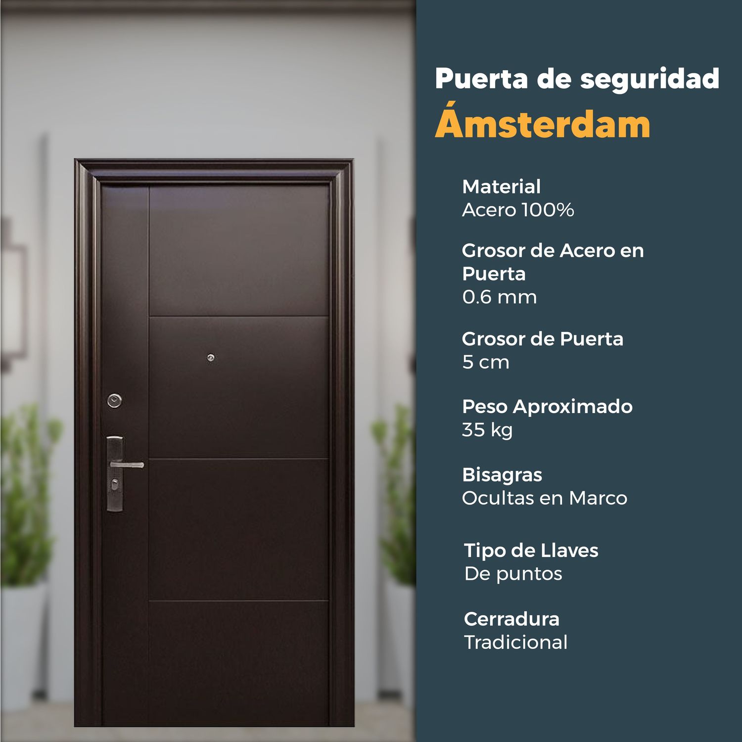 Puerta de Seguridad Derecha Amsterdam 0.95 m X 2.15 m