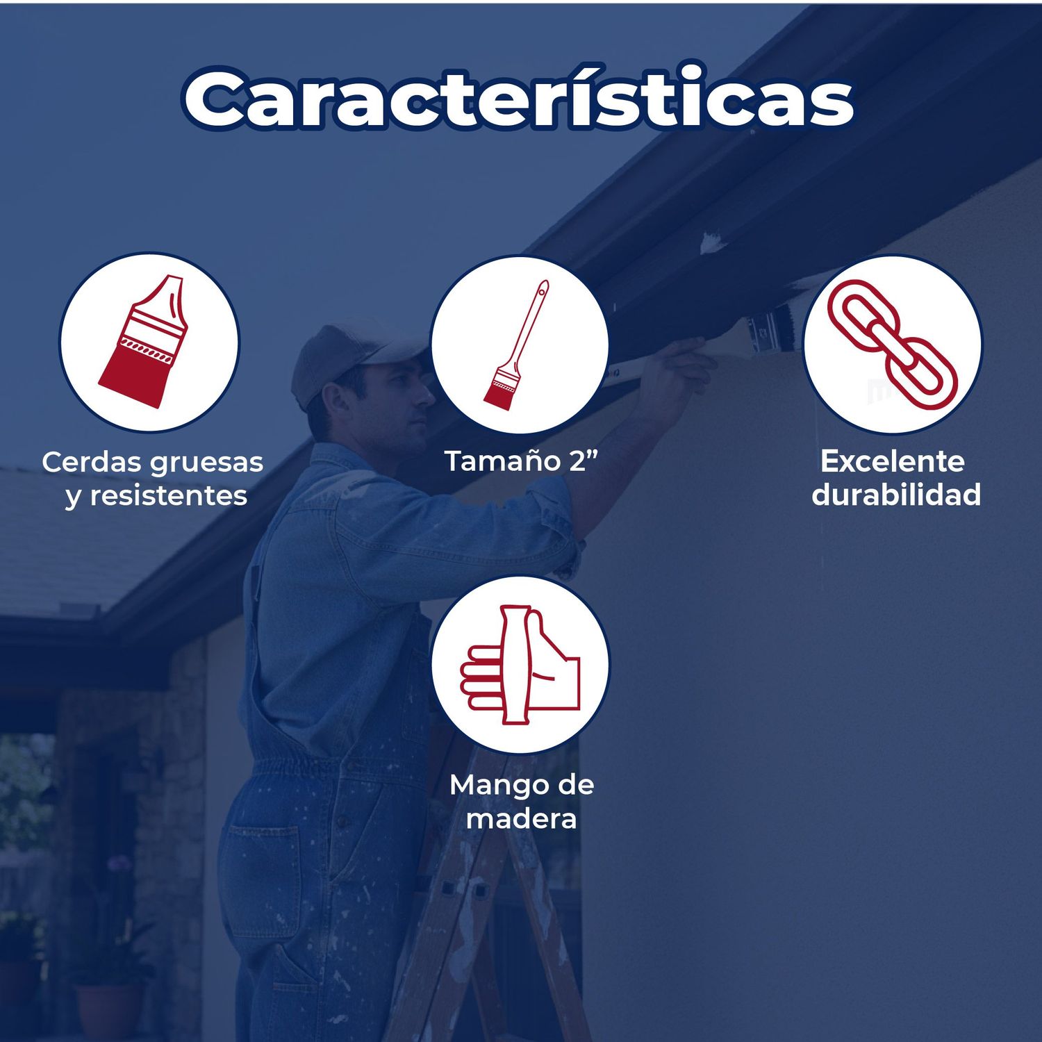 Brocha tipo "Mano de chango" de cerda natural BYP 2" Pulgadas