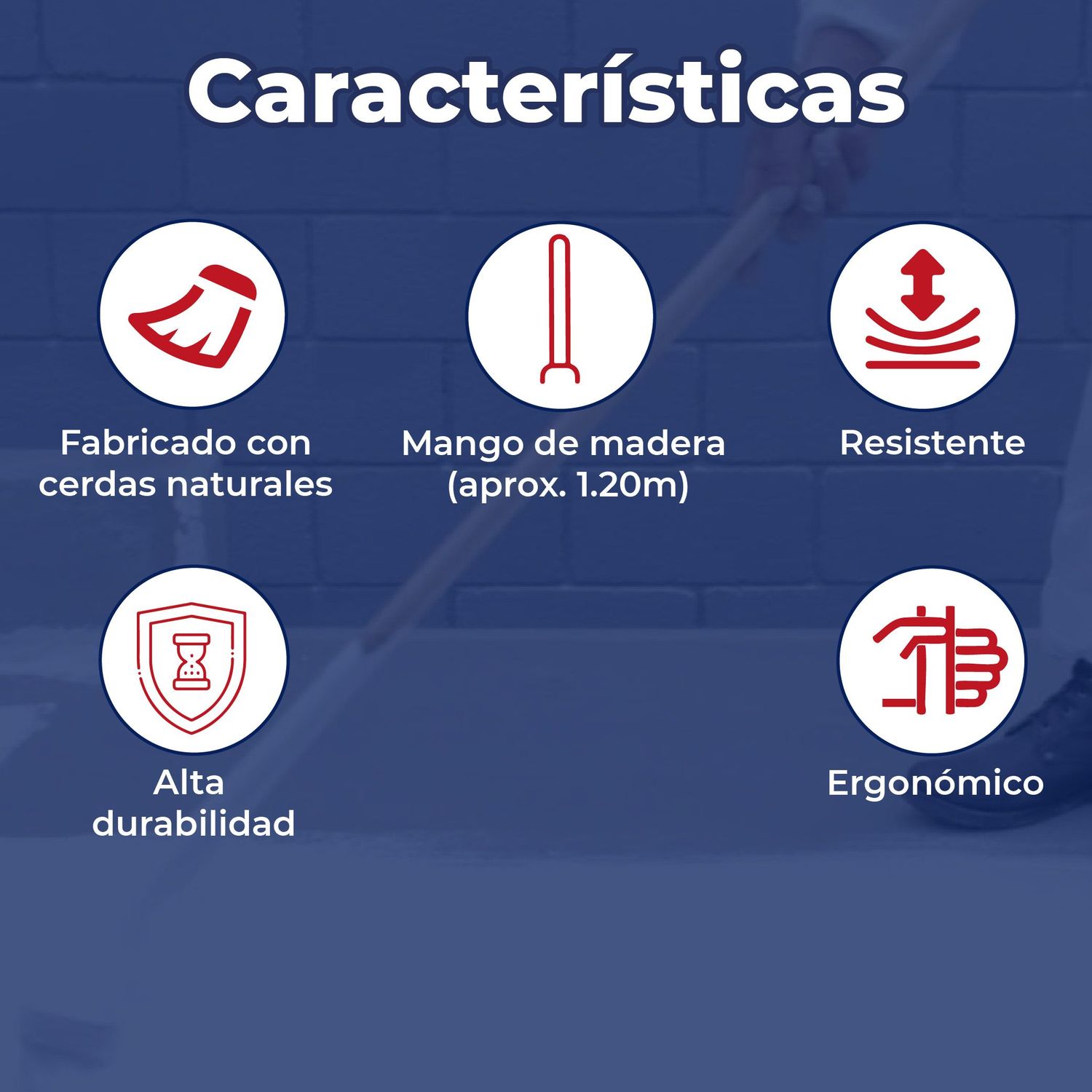 Cepillo Ixtle Hebel para impermeabilizar