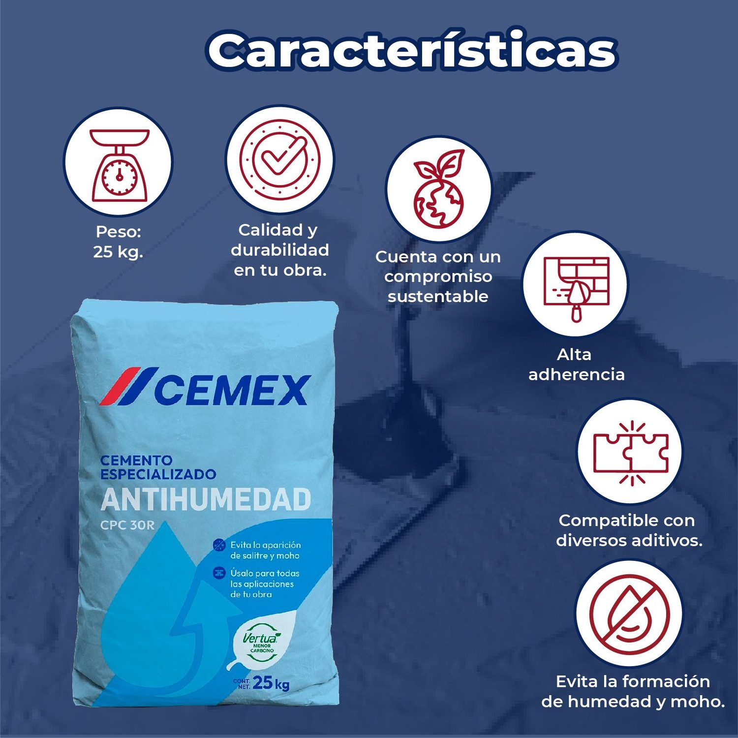 Cemento Gris Monterrey 25 kg Antihumedad