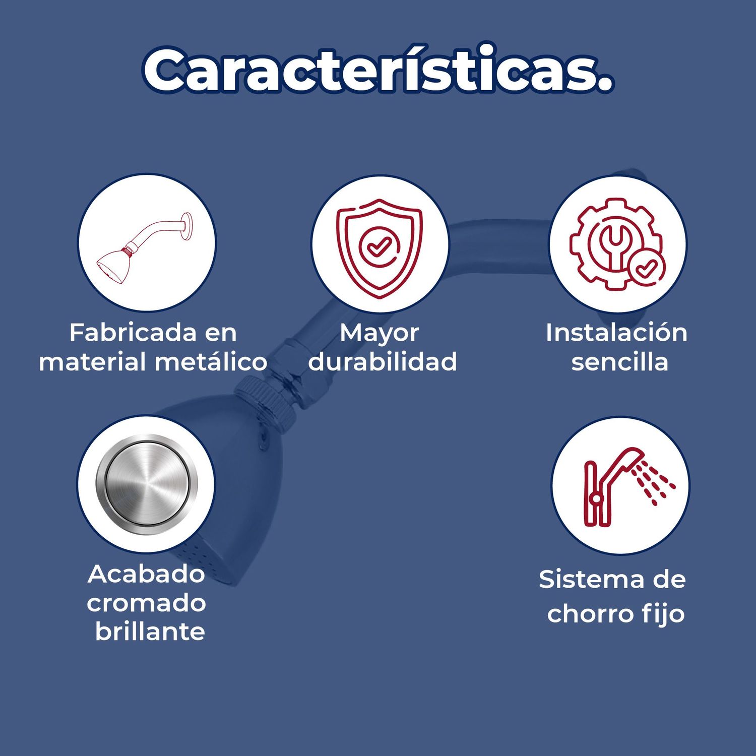 Regadera Con Brazo y Chapetón Genova Rugo 44G