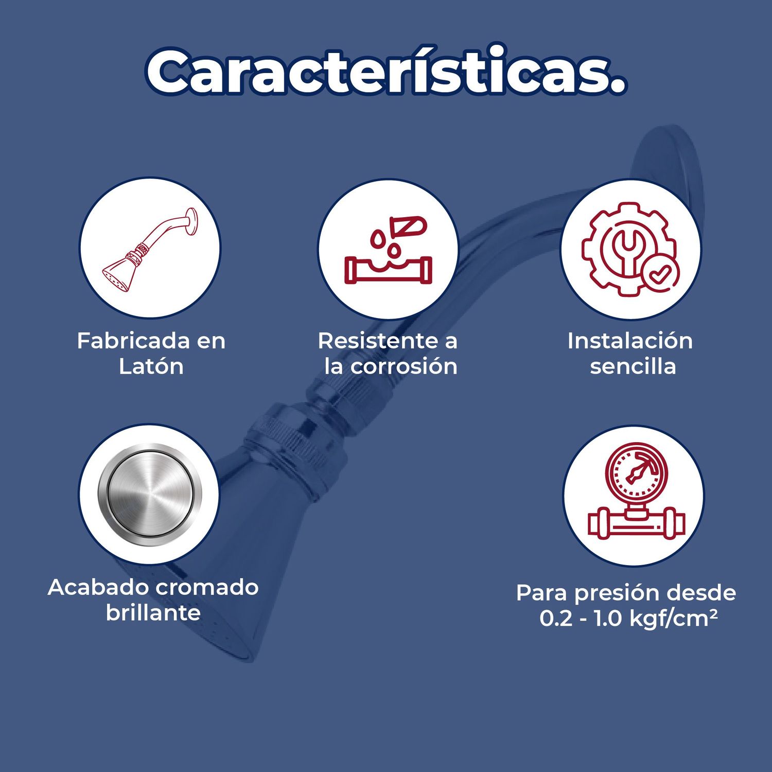 Regadera de 2 3/4” con Brazo y Chapetón Rugo Roma Acabado Cromo